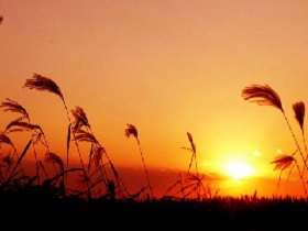 扈三娘原来是宋江的梦中情人！