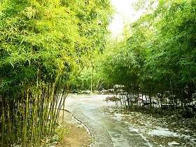 白骨精已现原形,为何唐僧仍赶孙悟空回花果山?你看猪八戒说了啥