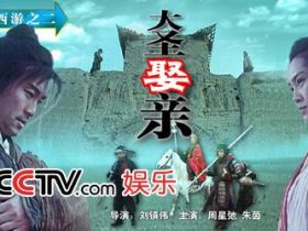 大话西游之仙履奇缘/大圣娶亲高清电影网盘下载