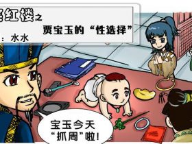 贾宝玉的男女都爱——笑红楼之其一