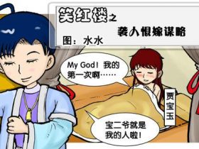 袭人恨嫁谋略——笑红楼之其九